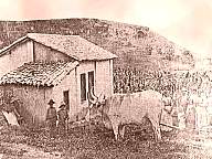 1113001011 Casa de colono.JPG