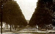 Avenida da Agronomia (1941)